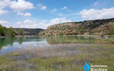 La fauna de las Lagunas de Ruidera