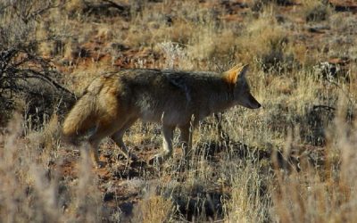 Actividades en la naturaleza