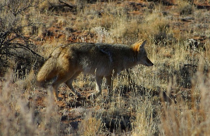 Actividades en la naturaleza