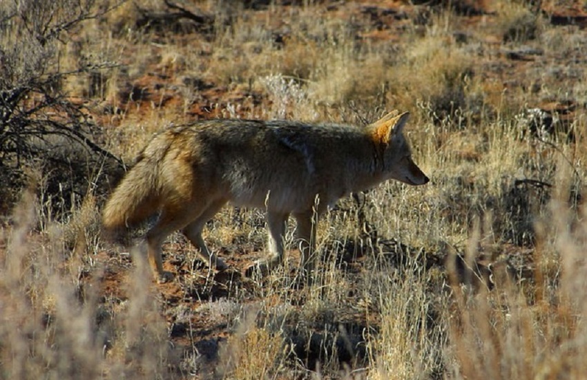 Actividades en la naturaleza