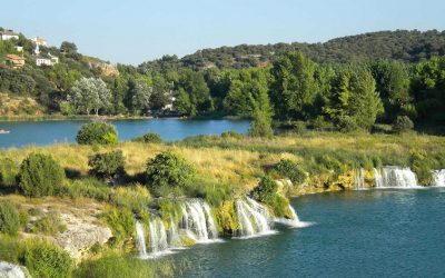 Ecoturismo Ruidera celebra el Día Mundial de la Vida Silvestre