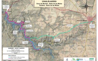 Servicio gratuito de autobuses para acceder a las Lagunas de Ruidera