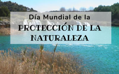 Día Mundial de Protección de la Naturaleza (2022)