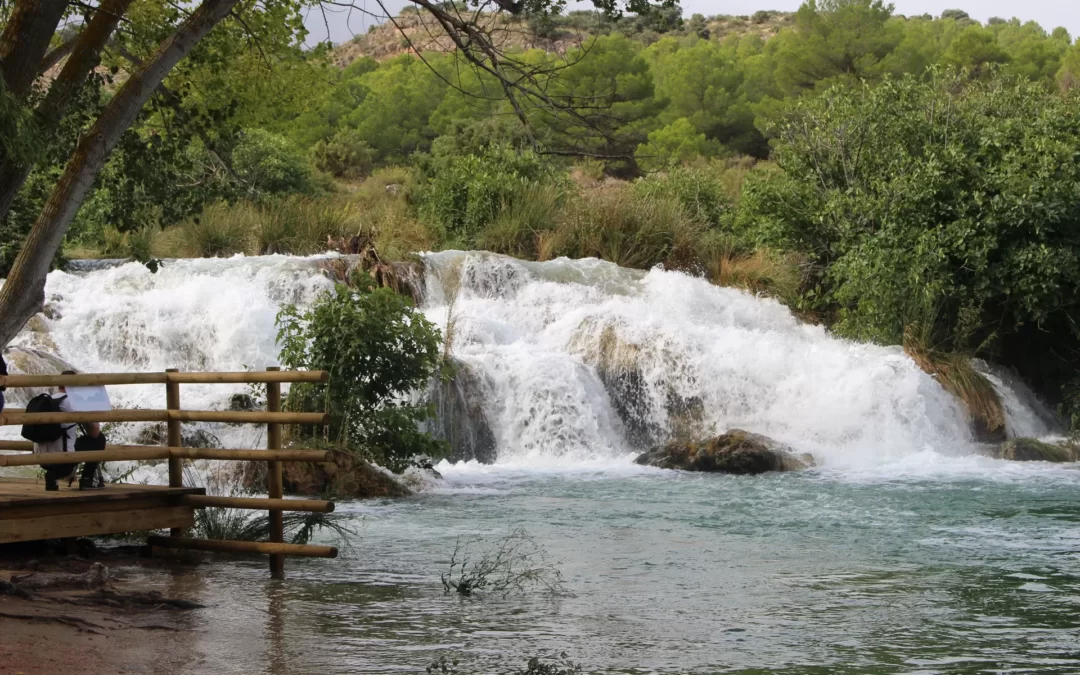 La vegetación sumergida de las Lagunas de Ruidera: esencial para su conservación