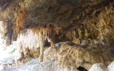 Rutas Guiadas por las Lagunas de Ruidera