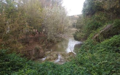 Ecoturismo en familia: Actividades para todas las edades en Las Lagunas de Ruidera