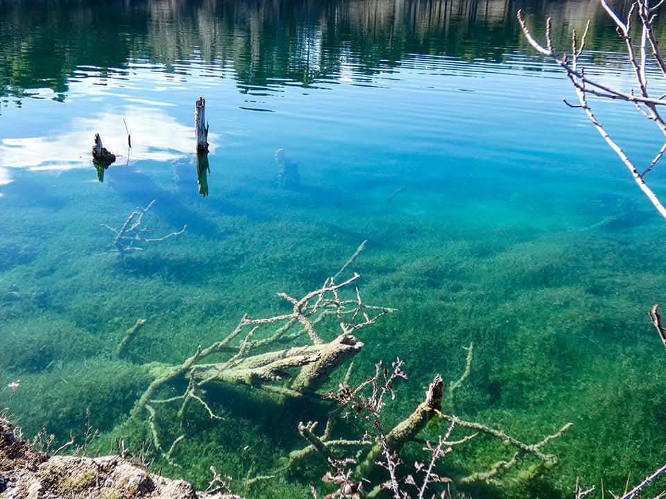 Por qué el ecoturismo ayuda a conservar entornos como Ruidera